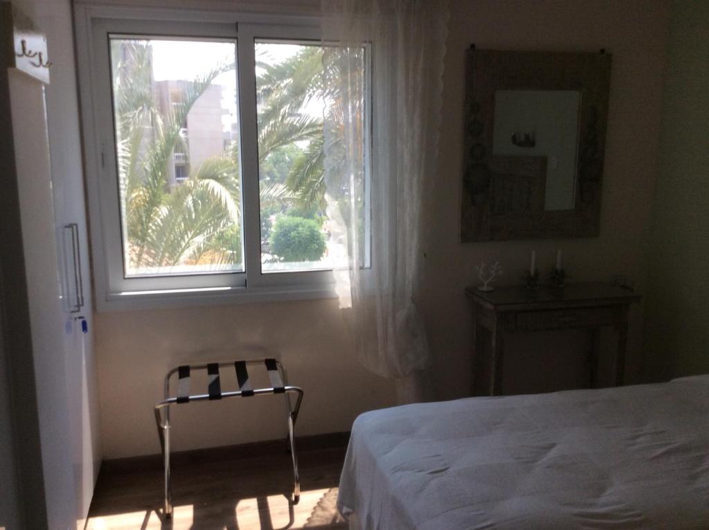Vintage Suite bedroom with bright window, palm view and luggage rack in central Nicosia