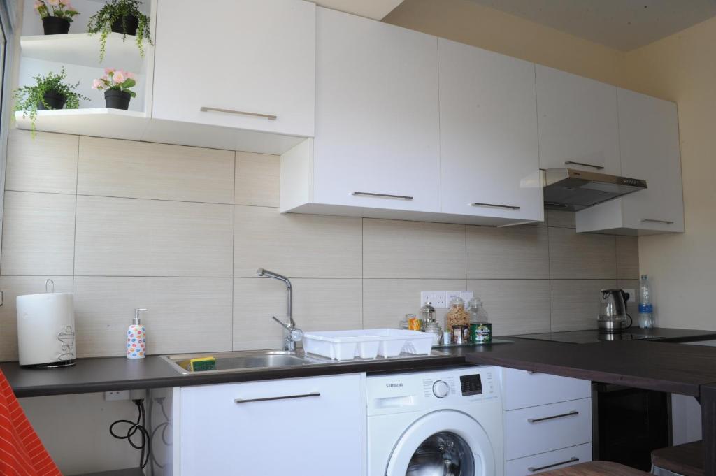 Fully equipped kitchen with washing machine and oven at the Vintage Suite in central Nicosia